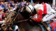 The Preakness