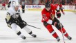 Penguins-Sens
