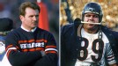 Bears