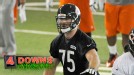 Bears