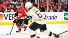 Bruins