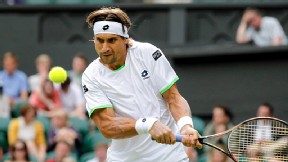 David Ferrer