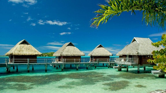 Tropical Paradise