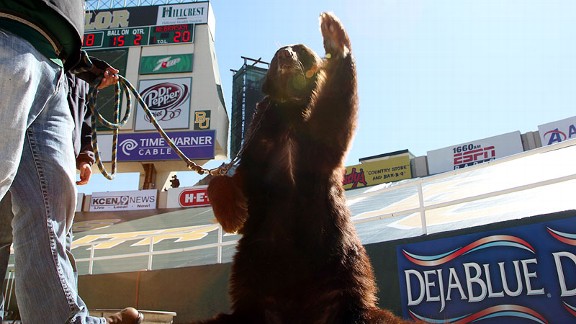 Baylor Mascot