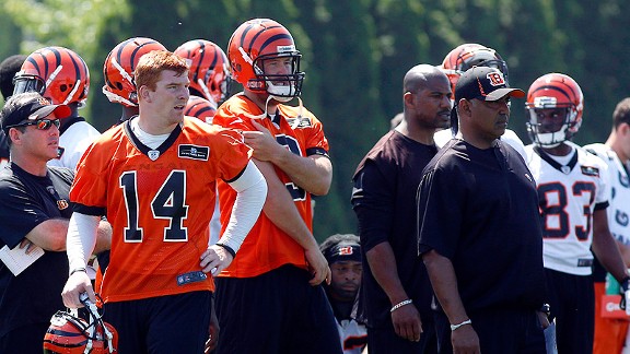 Andy Dalton and Marvin Lewis