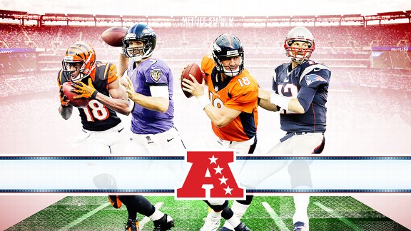 2013 NFL AFC Preview