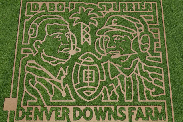 Denver Downs Corn Maze