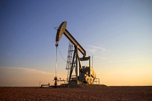 Oil pumpjack