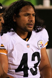 Troy Polamalu