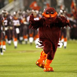 Virginia Tech Hokie