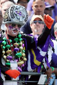 Baltimore Ravens fan