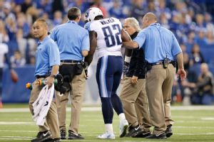 Delanie Walker
