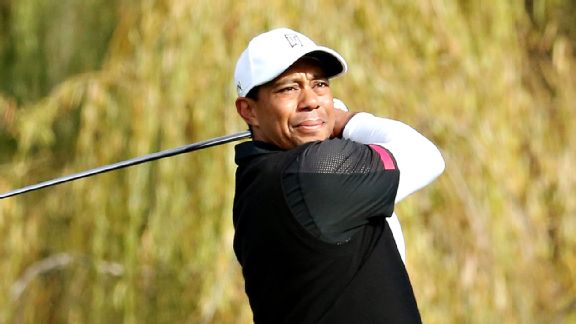Woods
