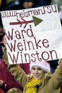 Florida State fan