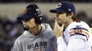Bears