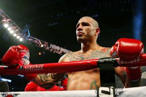 Miguel Cotto