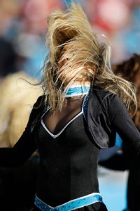Panthers cheerleadera