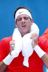 Juan Martn Del Potro