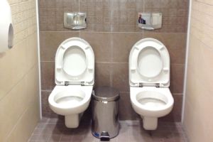Twin toilets