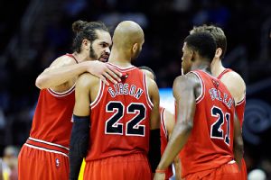 Bulls