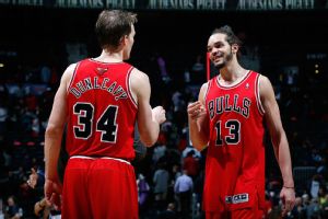 Bulls