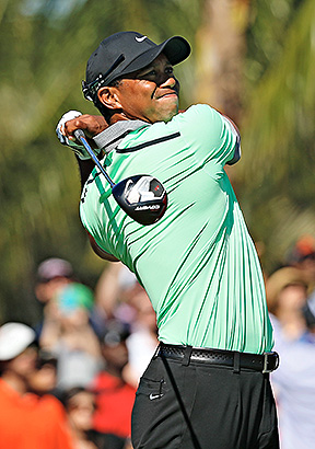 Woods