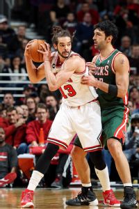 Joakim Noah, Zaza Pachulia