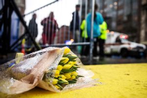 Tulips at Finish Line
