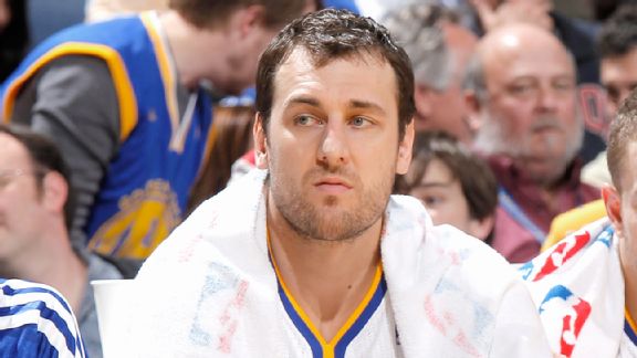 Andrew Bogut