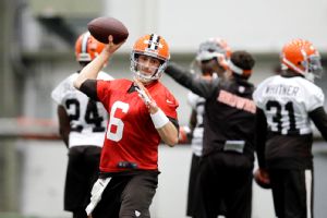 Brian Hoyer