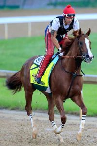 California Chrome