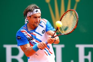 David Ferrer