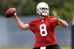 Matt Schaub