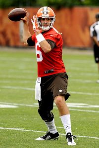 Brian Hoyer