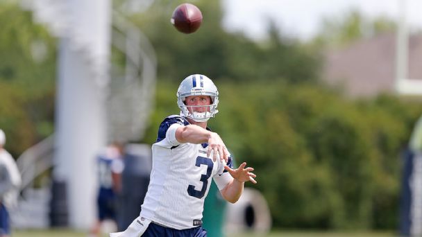 Brandon Weeden