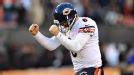 Bears