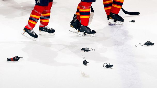 Florida Panthers, rats