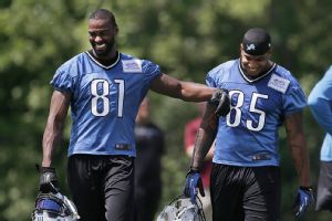 Lions
