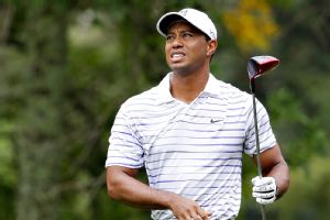 Woods