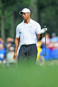 Woods