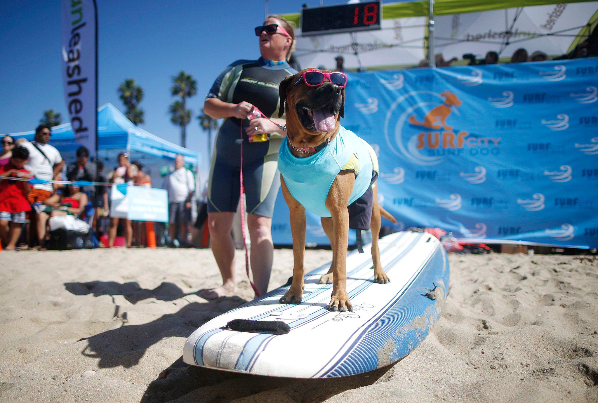 Surf City Surf Dog Contest espnW