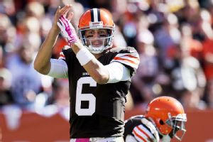 nfl_g_hoyer_kh_300x200.jpg