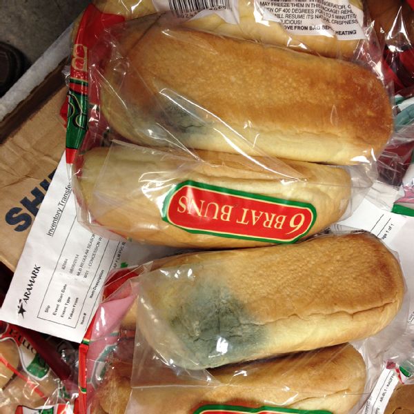 Manager, health department Critical food safety violations at Kansas City's pro stadiums