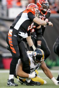 Carson Palmer Hot Read