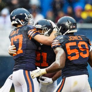 Bears