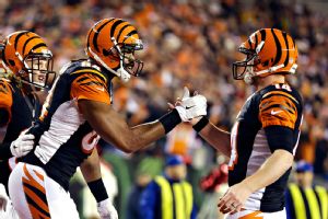 Bengals