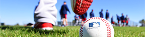 Spring training