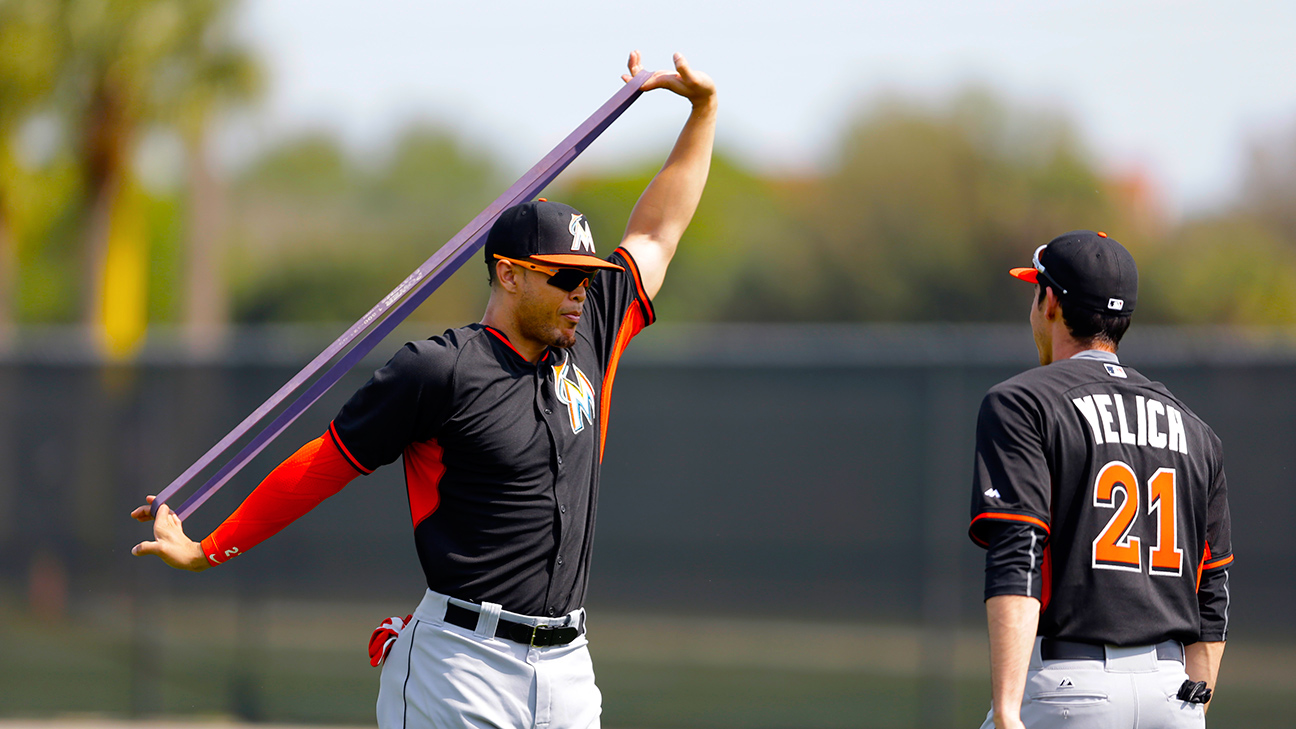 Giancarlo Stanton Of Miami Marlins Hit By Pitch In