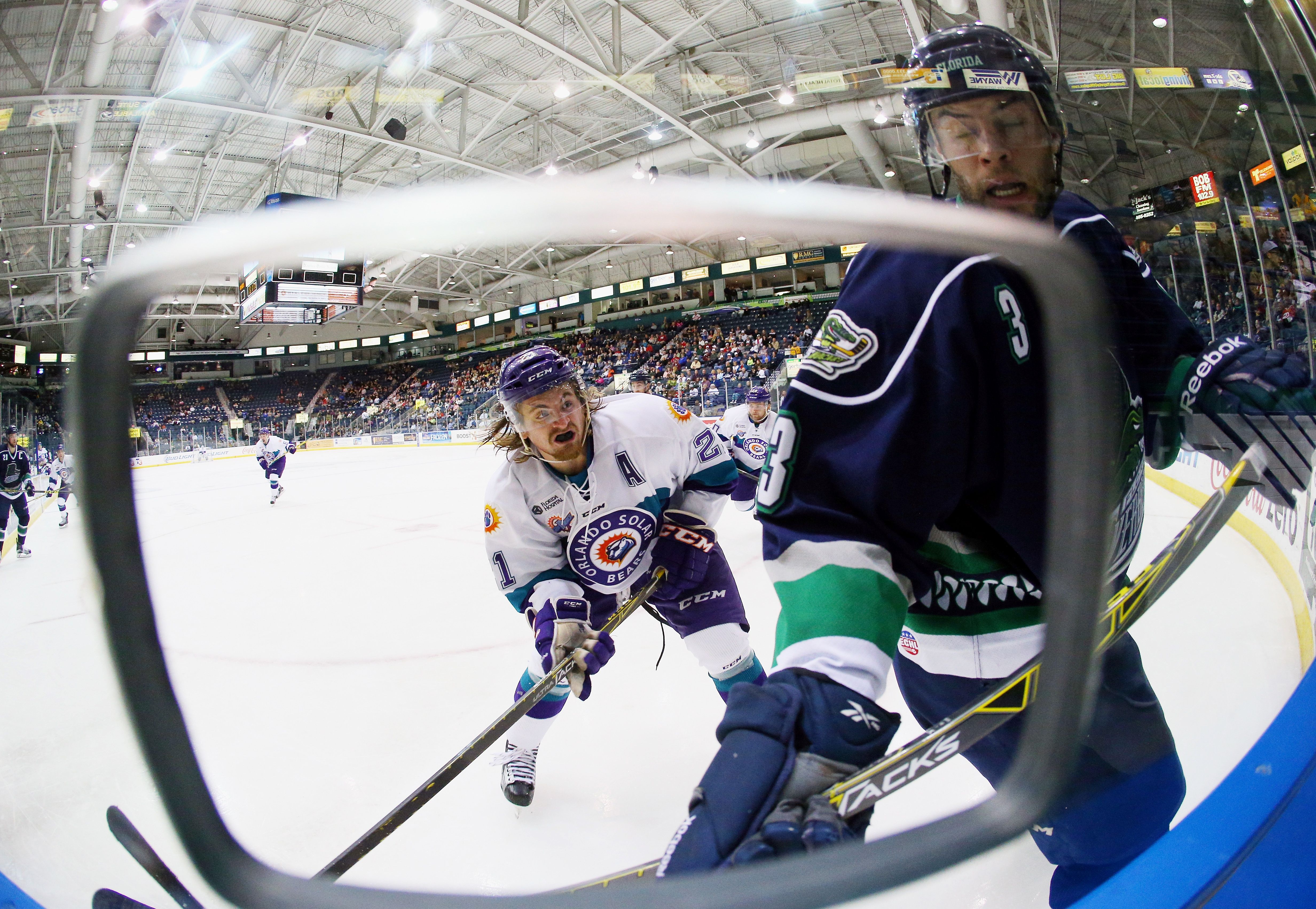 A hockey photographer's perspective Photos Life in minorleague
