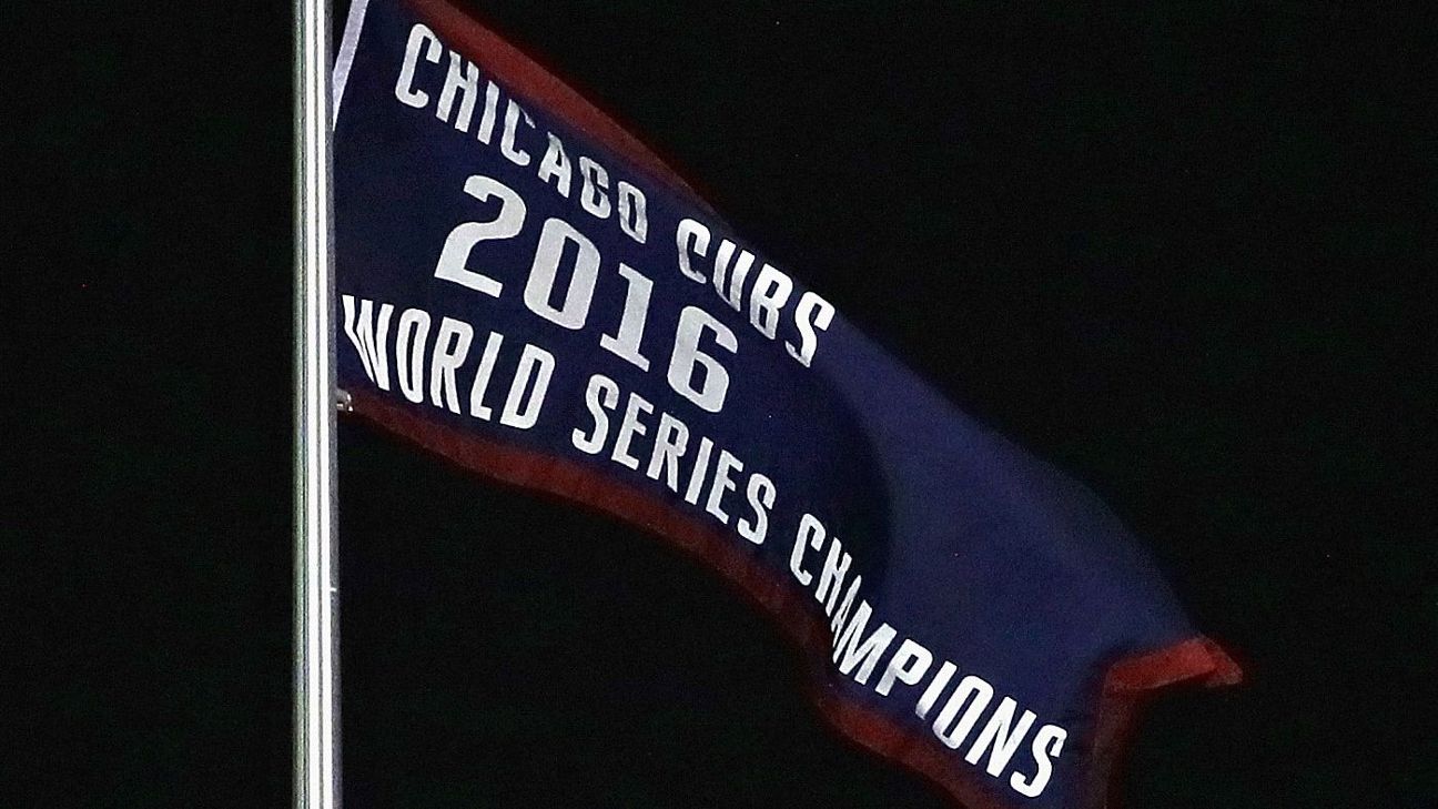 Cubs banner 